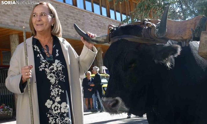 María Jesús Lafuente: Durufema, un puzzle que refleja el potencial de Pinares