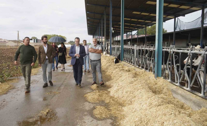 La producción de leche en Castilla y León supune el 12,44 % del total nacional