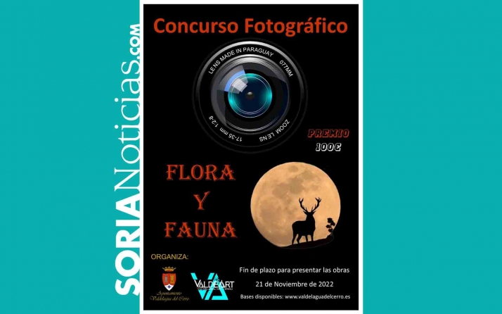 Las setas, tema del concurso fotográfico de Valdelagua