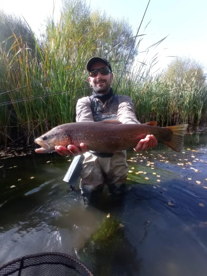 Fotos: Un reciente campe&oacute;n del mundo triunfa en el M&aacute;ster de Pesca de Salm&oacute;nidos en Soria