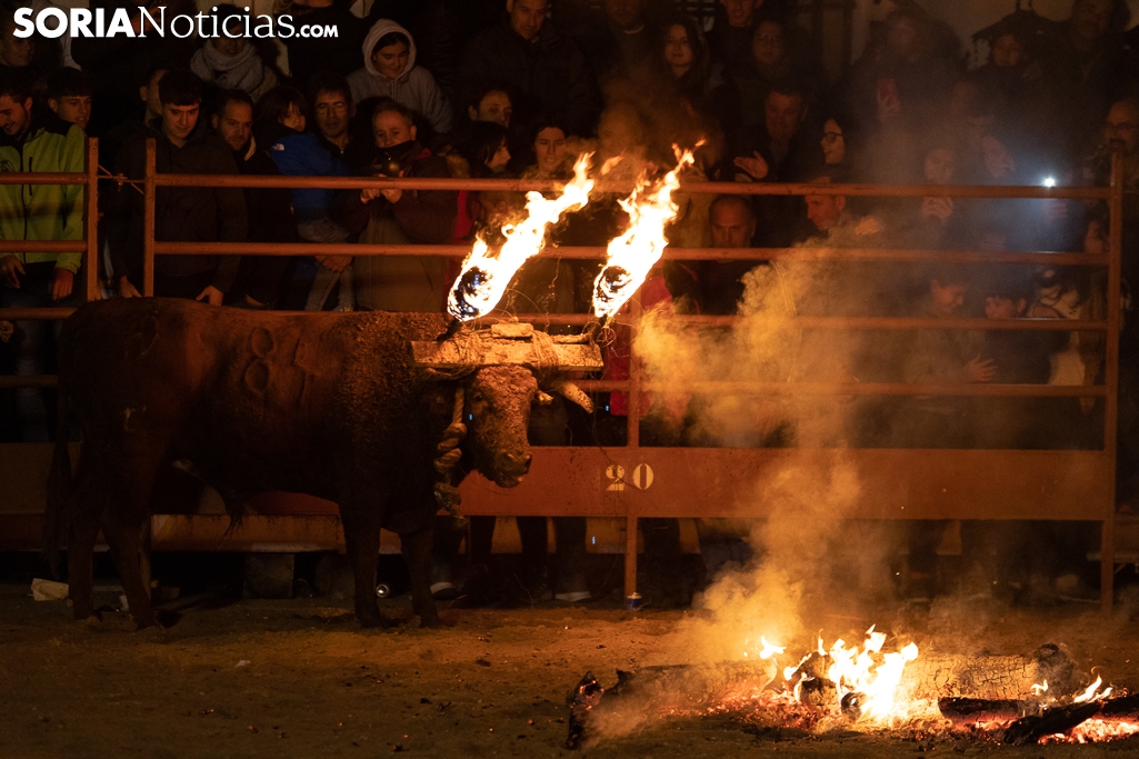 Galería: el Toro Jubilo regresa a Medinaceli