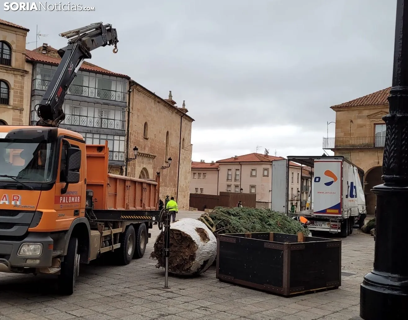 Abeto de Navidad en la Plaza Mayor. /SN