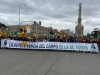 Foto 1 - ASAJA Soria apoyará a la ganadería en la manifestación de Madrid 