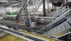 Imagen de las instalaciones de selección de la factoría en La Rasa. /SN