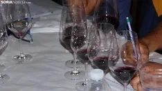 Foto 12 - Fotos: descubre los mejores vinos caseros de la provincia de Soria