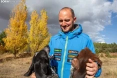 Foto 3 - Mushing, una forma de vida que Soria enarbolar&aacute; en el Europeo 