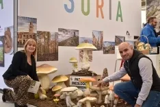 Una imagen de la jornada en el espacio expositivo de la Diputación en INTUR. /Dip.