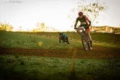 Foto 5 - Mushing, una forma de vida que Soria enarbolar&aacute; en el Europeo 