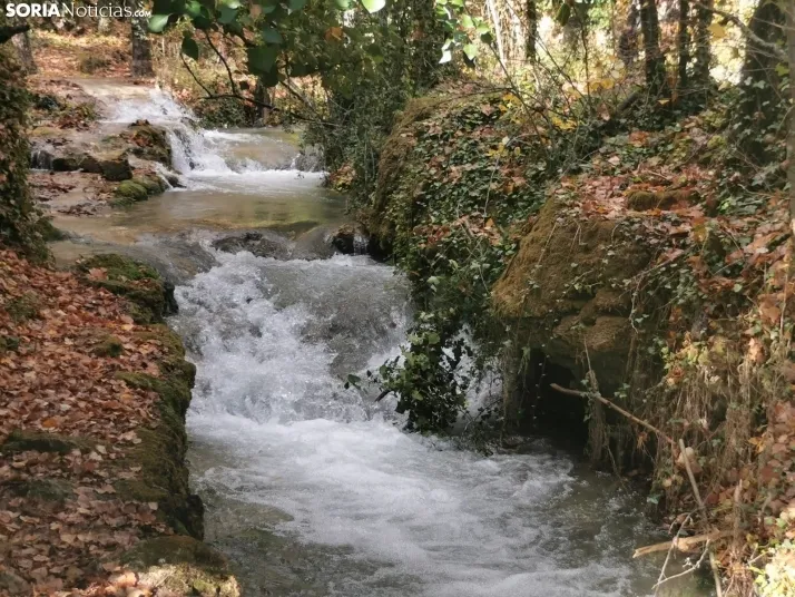 Una imagen de la cascada de La Toba. /SN