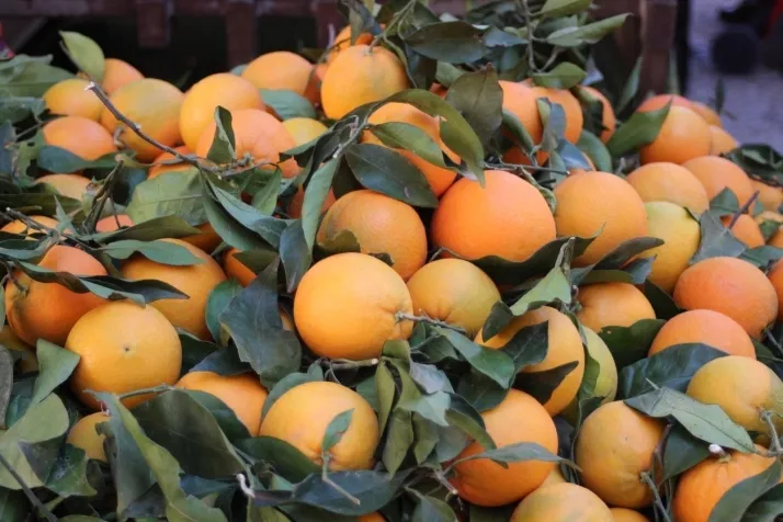 En im&aacute;genes: El mercadillo de los jueves en Soria