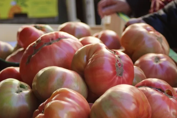 En im&aacute;genes: El mercadillo de los jueves en Soria