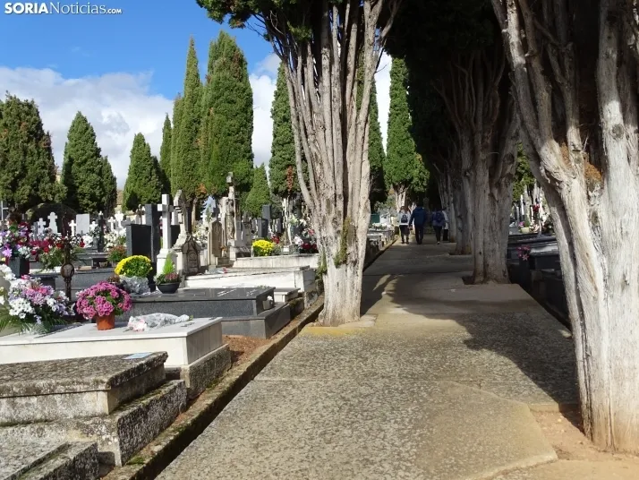 Una imagen del cementerio de Soria hoy. /SN