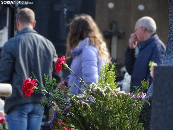 Una imagen del cementerio de Soria hoy. /SN