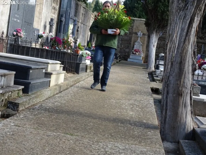 Una imagen del cementerio de Soria hoy. /SN