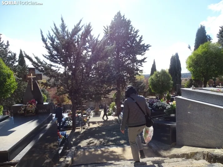 Una imagen del cementerio de Soria hoy. /SN