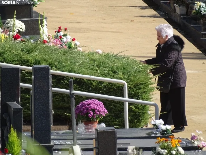 Una imagen del cementerio de Soria hoy. /SN