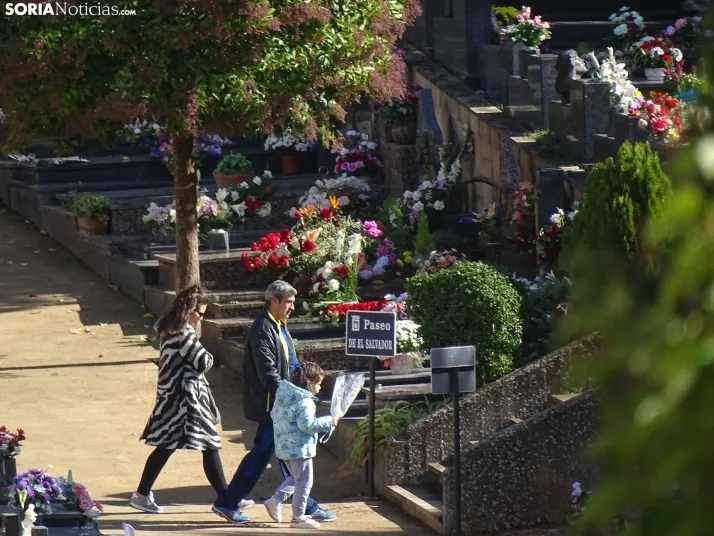 Una imagen del cementerio de Soria hoy. /SN