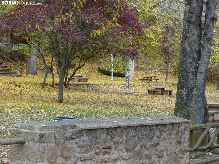 GALER&Iacute;A | Los matices del Duero