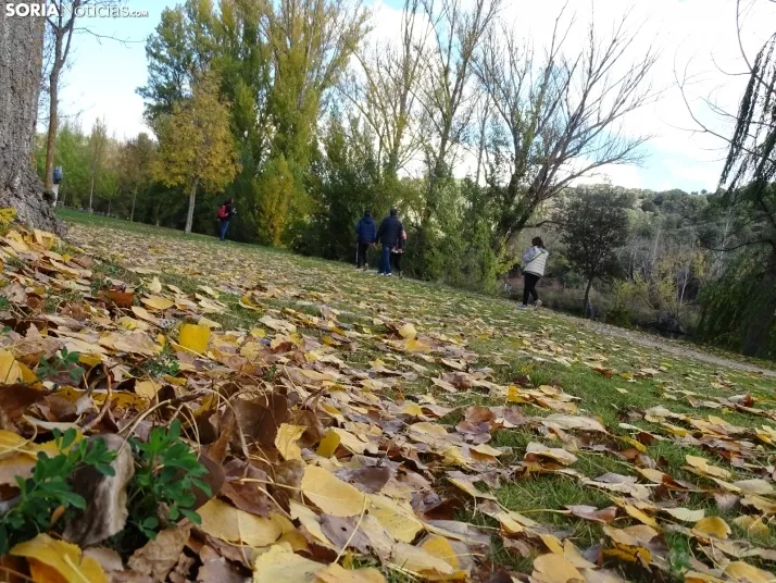 GALER&Iacute;A | Los matices del Duero