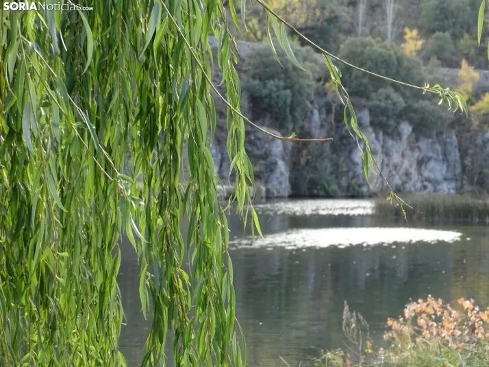 GALER&Iacute;A | Los matices del Duero