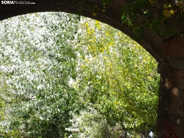 GALER&Iacute;A | Los matices del Duero