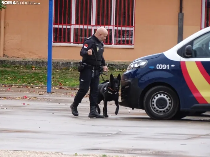 Una imagen de la jornada hoy en San Esteban de Gormaz. /SN