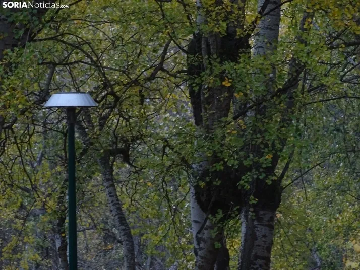 Una imagen otoñal del paseo de La Rambla. /SN