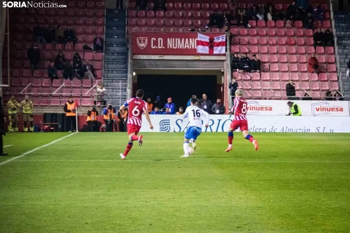 Toro Jubilo. /Viksar Fotografía