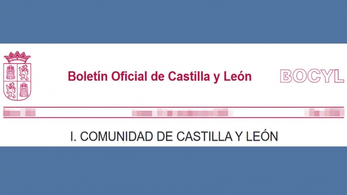 El Boletín Oficial de Castilla y León, a la vanguardia en materia de accesibilidad