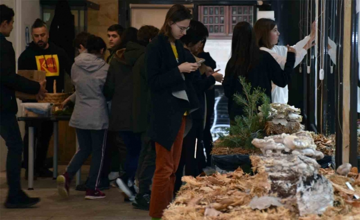 El IES Machado organiza sus VI Jornadas Micológicas