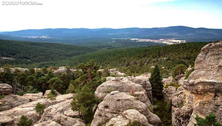Soria supera las 170.000 hectáreas forestales con documento de planificación