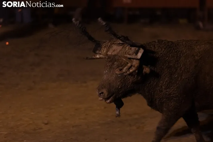 Toro Jubilo 20212. /Viksar Fotografía
