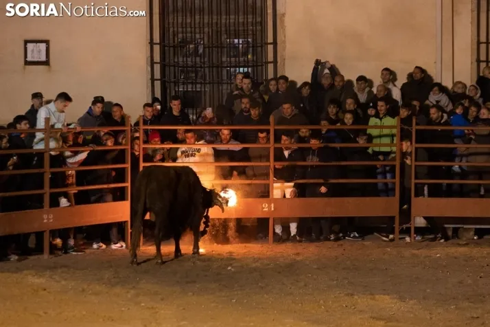 Toro Jubilo 20212. /Viksar Fotografía