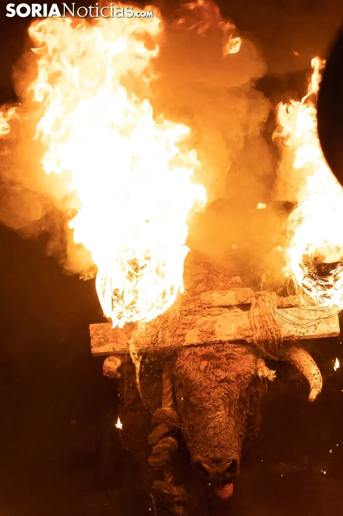 Toro Jubilo 20212. /Viksar Fotografía