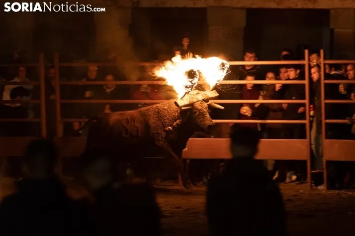 Toro Jubilo 20212. /Viksar Fotografía