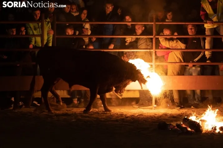 Toro Jubilo 20212. /Viksar Fotografía