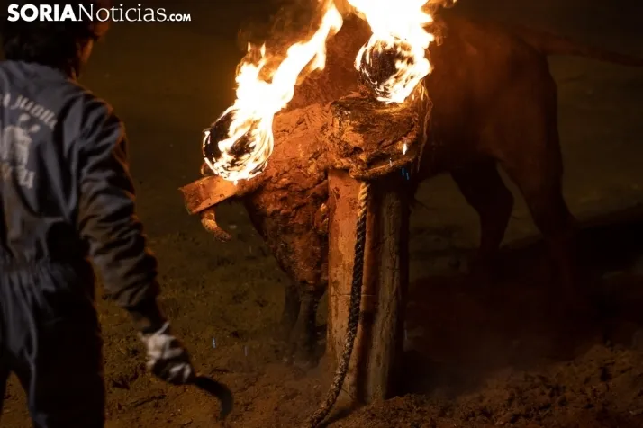 Toro Jubilo 20212. /Viksar Fotografía