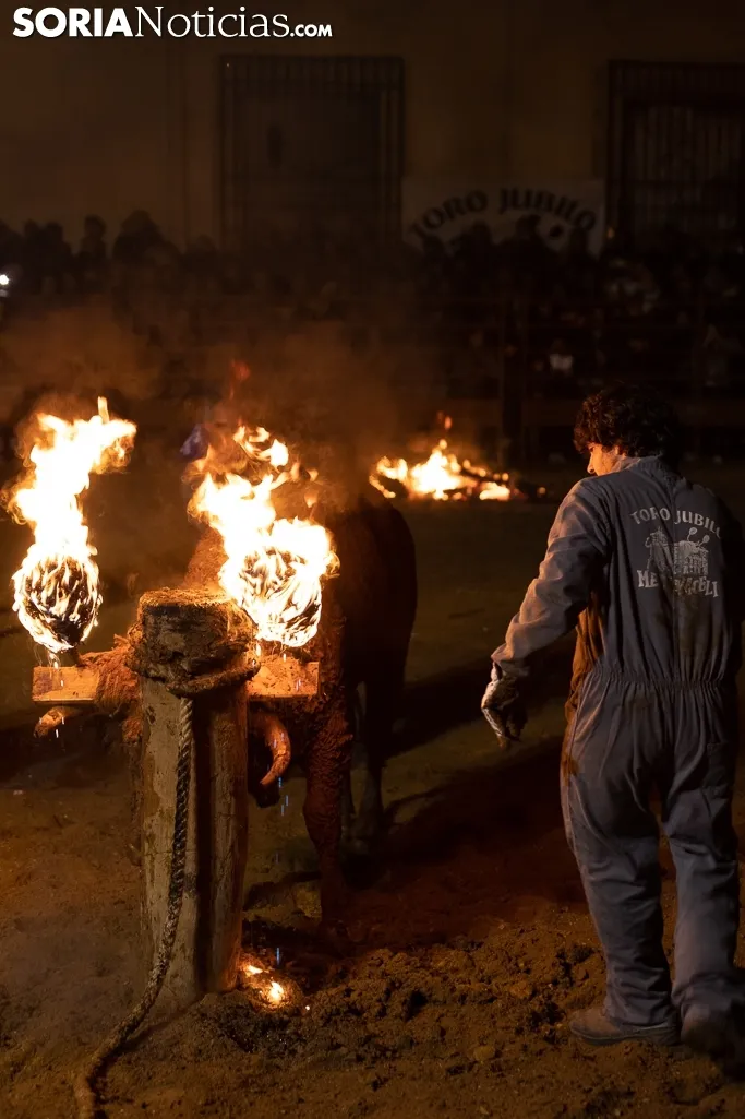 Toro Jubilo 20212. /Viksar Fotografía