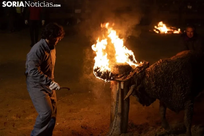 Toro Jubilo 20212. /Viksar Fotografía