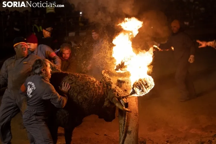 Toro Jubilo 20212. /Viksar Fotografía