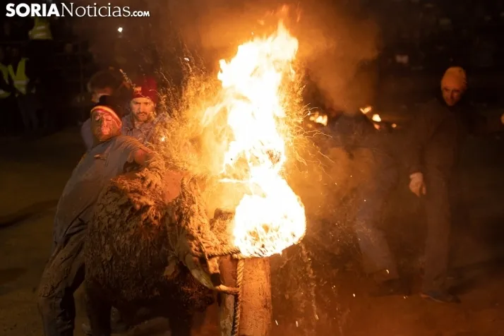 Toro Jubilo 20212. /Viksar Fotografía
