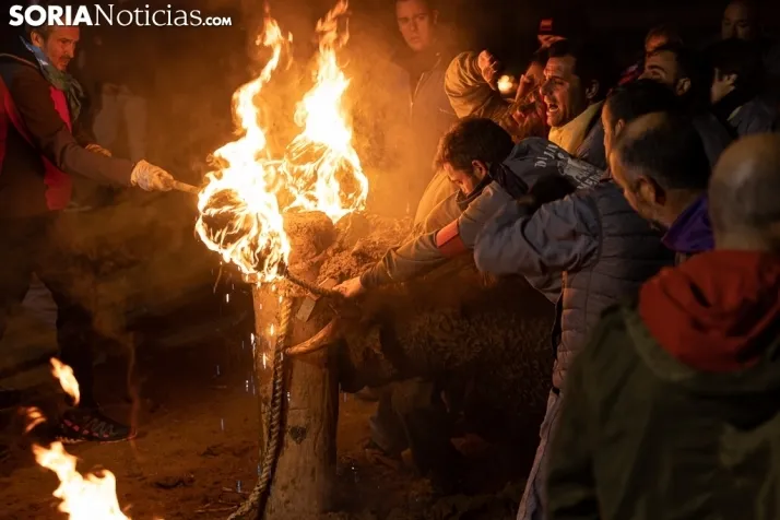 Toro Jubilo 20212. /Viksar Fotografía