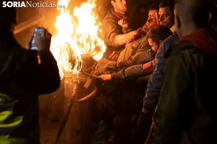 Toro Jubilo 20212. /Viksar Fotografía