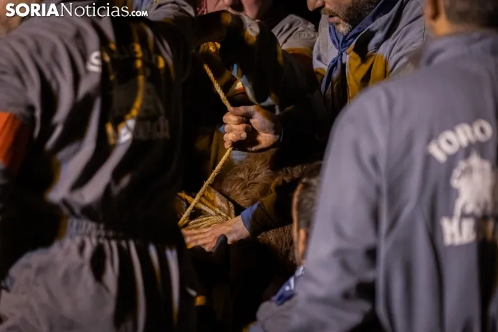 Toro Jubilo 20212. /Viksar Fotografía
