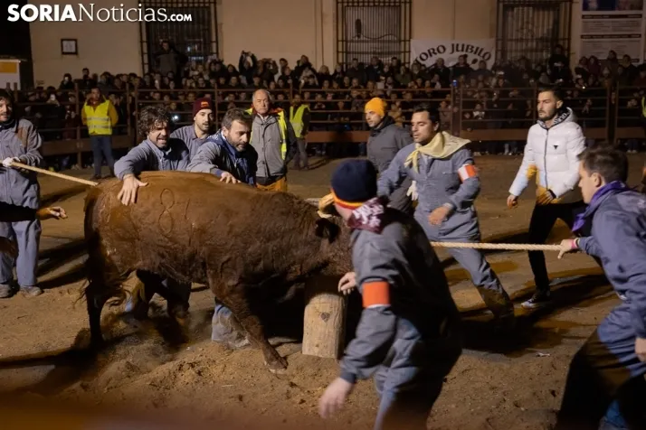 Toro Jubilo 20212. /Viksar Fotografía