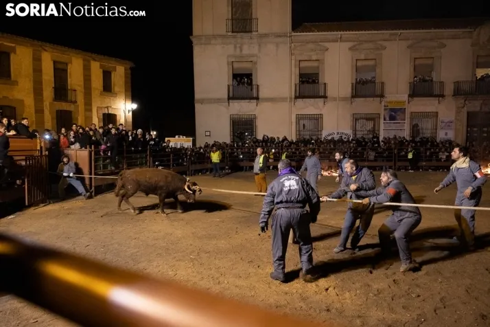 Toro Jubilo 20212. /Viksar Fotografía