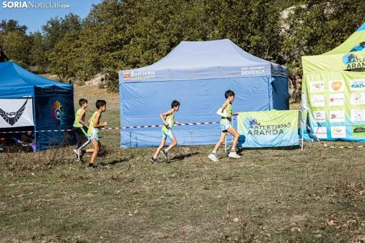 Fotos: la carrera popular, la inclusiva y las infantiles deslumbran en el Cross de Soria