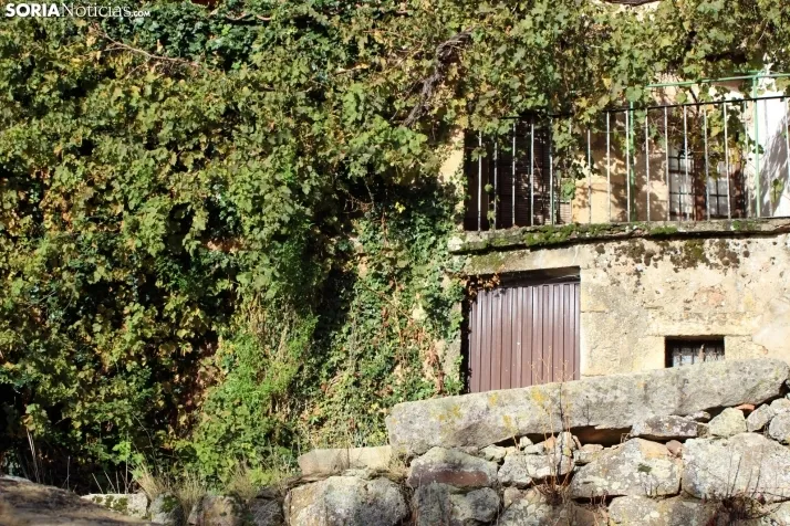 Galer&iacute;a: Un paseo por Vinuesa en oto&ntilde;o