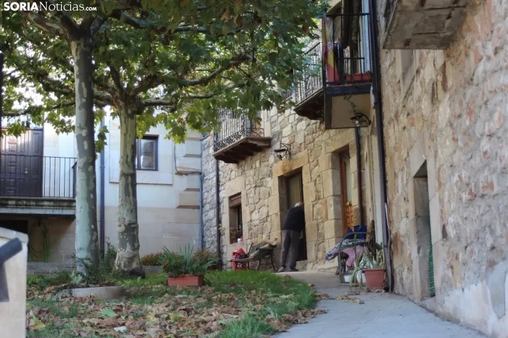 Galer&iacute;a: Un paseo por Vinuesa en oto&ntilde;o