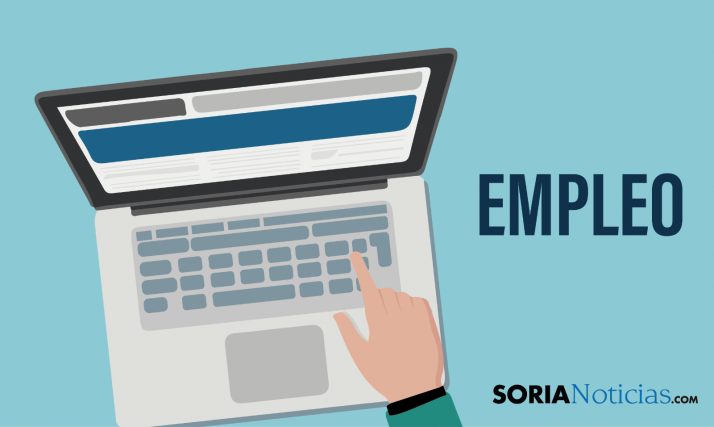 Se busca TÉCNICO/A DATA ANALYST